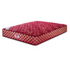 Peps Spring Koil Pillow Top - PU Foam - 1