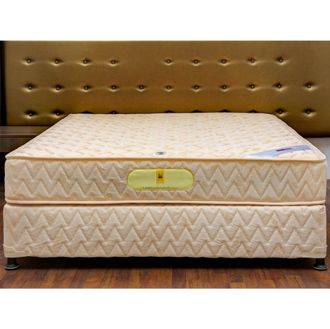 Sobha Restoplus Mattress Slumber - PU Foam - 2