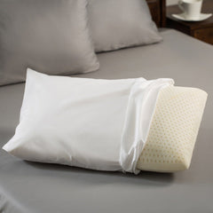 Latex Night Care Pillow - Sealy