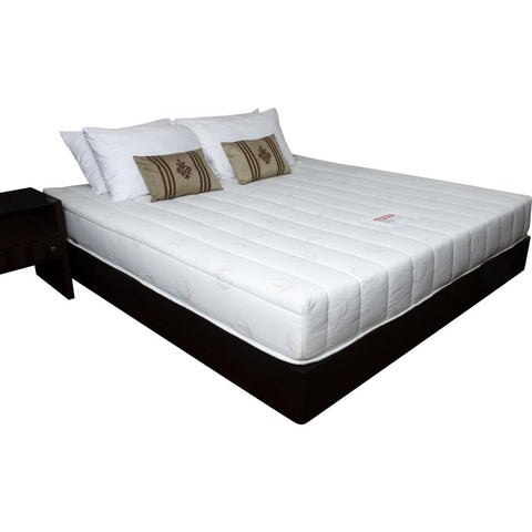 Coirfit Visco Elastic Biolife Mattress - 11