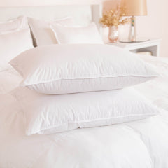 Microfiber Pillows - Sealy Standard Pillow