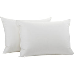 Organic Pillows - Tencel Pillow - Organic