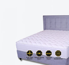 Pocket Spring Mattresses - King Koil Memory Foam Mattress With Pocket Spring - Posture Sense