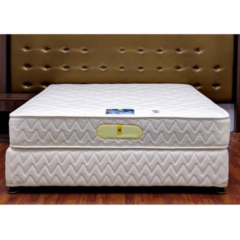 Sobha Restoplus Mattress Genteel - PU Foam - 2