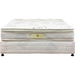 Pocket Spring Mattresses - Sobha Restoplus Mattress Memory Foam Genesis