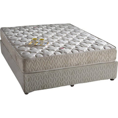 Springwel Mattress Latex Foam Comfort Plus Springwel Mattress Latex Foam Comfort Plus