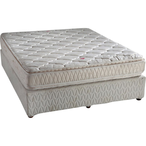 Springwel Mattress Pillow Top with Soft Foam - 13