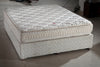 Springwel Mattress Pillow Top with Soft Foam - 2