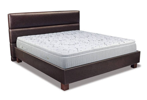 Springwel Memory Foam Mattress Divinity - 10