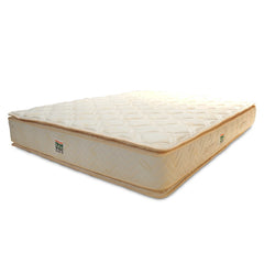 PU Foam Mattresses - Raha Mattress Athena Pillow Top