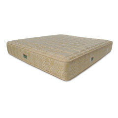 PU Foam Mattresses - Raha Mattress Bonnell Spring - Premiera