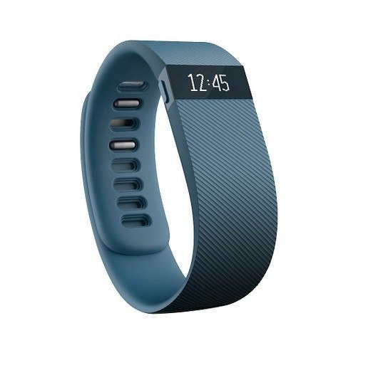 Fitbit Charge Activity Wristband - Slate - large - 1