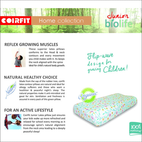 Latex Kids Counter Pillow - Coirfit - 2