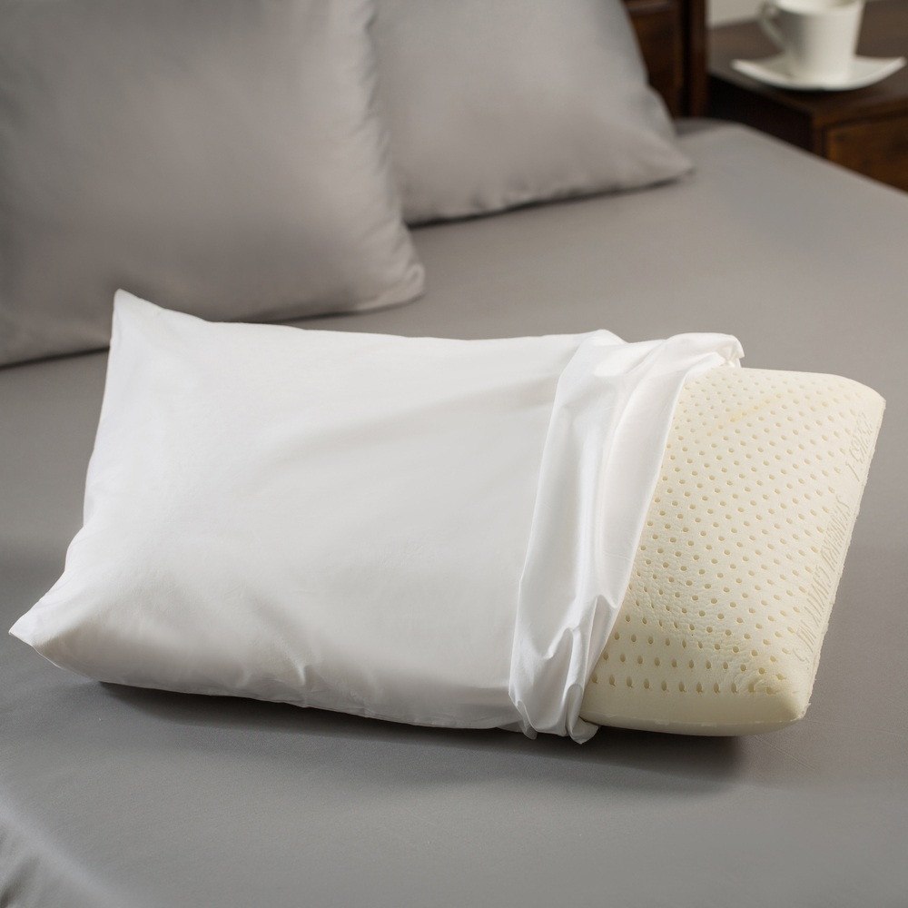 Latex Night Care Pillow Sealy