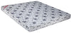 Foam Mattress Gloria Bonded with HR Foam - Springwel - 2