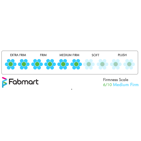 Buy Tempur Original Visco Elastic Foam Mattress online in India