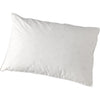 Buck Wheat Pillow - Organic - 1