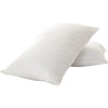 Organic Pillow - Soy Fiber - 1