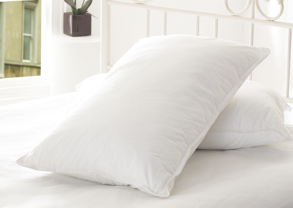 Organic Pillow - Soy Fiber - large - 2