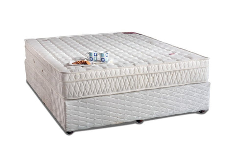 Latex Mattress Box Top - Springwel - 10