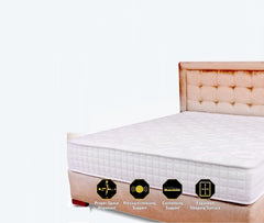 Pocket Spring Mattresses - Posture Sense Pocket Spring Mattress - Softy Foam - King Koil