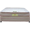 Sobha Restoplus Mattress Latex Foam Euphoria - 1