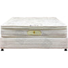 Sobha Restoplus Mattress Memory Foam Genesis - 1