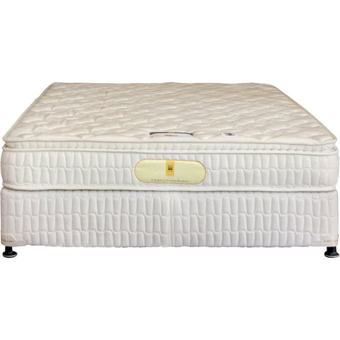 Sobha Restoplus Memory Foam 2 side Night Song - 12