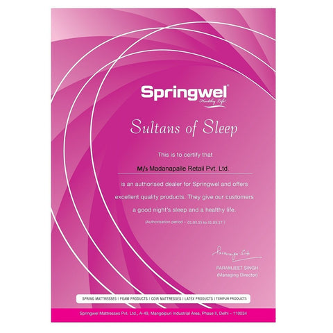 Springwel Mattress Pillow Top with Soft Foam - 4