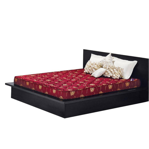 Kurlon Mattress New Klassic - PU Foam - 6