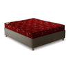 MM Foam PU Foam Mattress - Pride - 12